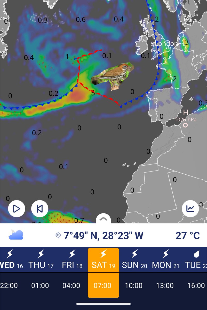 Been looking at the forecast for my first trip to scilly in 14 years! The fast moving warm front looks interesting. I'm like an over excited kid waiting for Christmas.