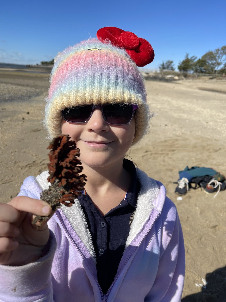 RobinsonSchool3's tweet photo. Some of our third graders participated in an enrichment trip to Sandy Hook National Park!  They went seine fishing and learned all about beach dynamics. @BayonneBOE https://t.co/UjecEqoVTk