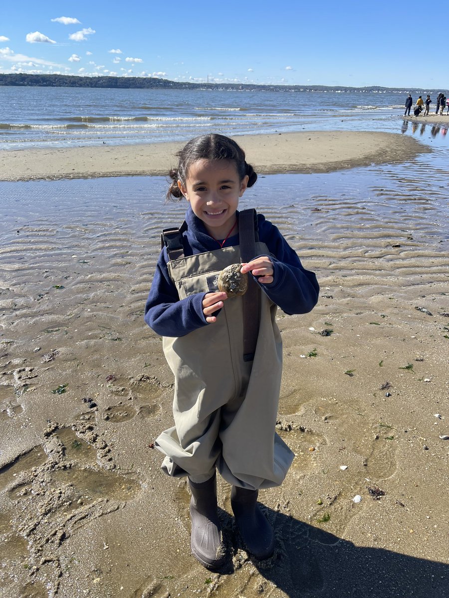 RobinsonSchool3's tweet photo. Some of our third graders participated in an enrichment trip to Sandy Hook National Park!  They went seine fishing and learned all about beach dynamics. @BayonneBOE https://t.co/UjecEqoVTk