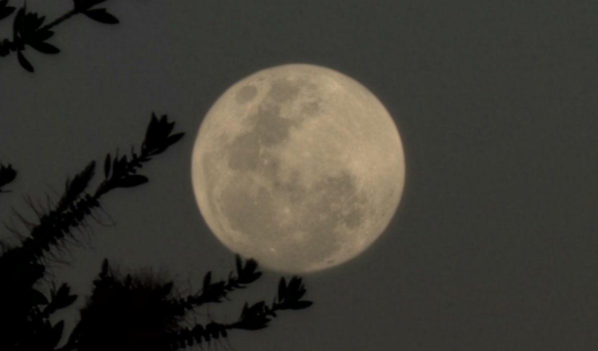 Miren lo hermosa que está la luna 🌙😍