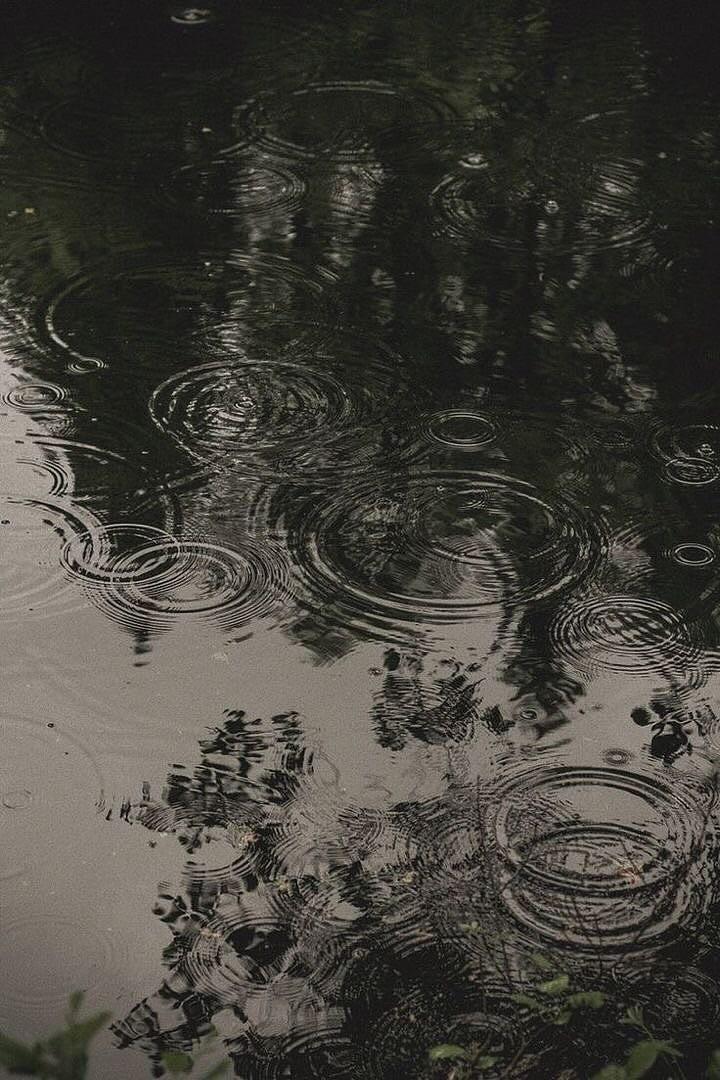 talya9646171863's tweet photo. gloomy autumn 🌁🍂☕🤍 https://t.co/tsLNryc5Hq