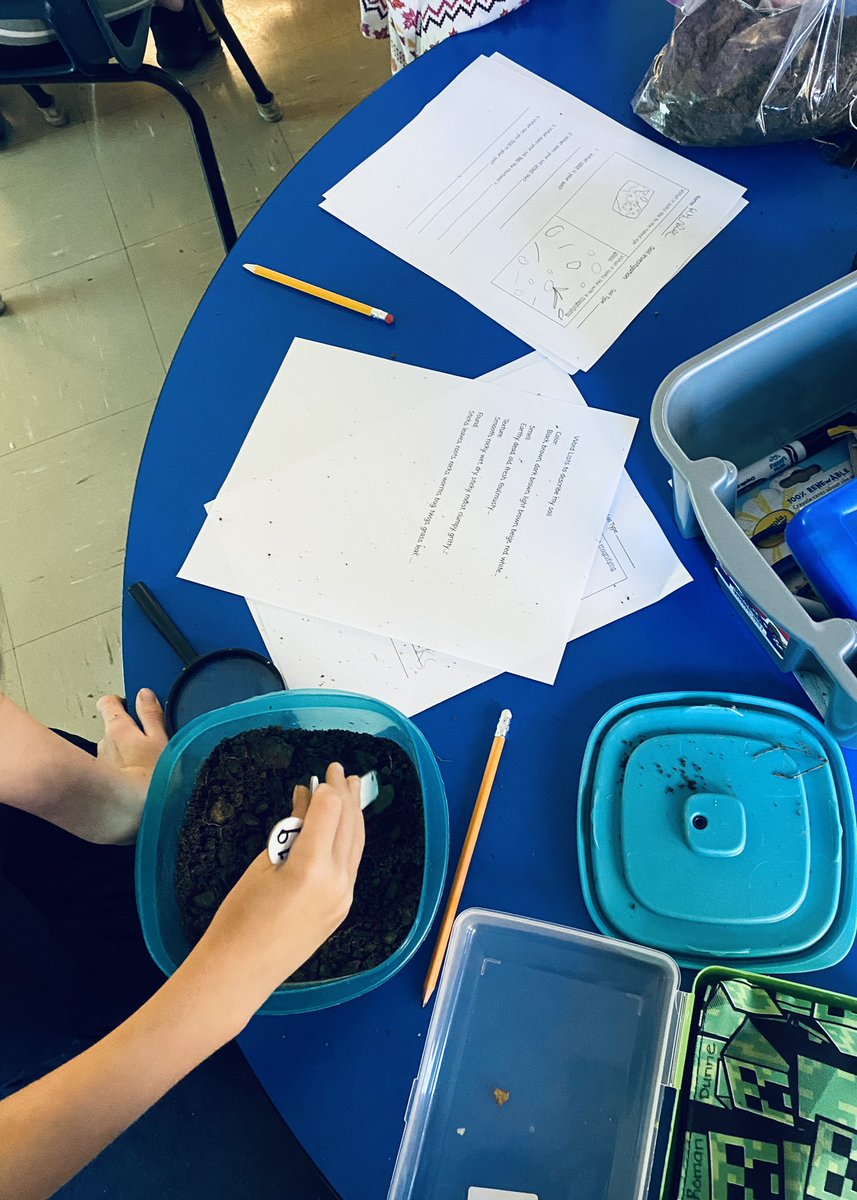 Ms. Kent tweet media