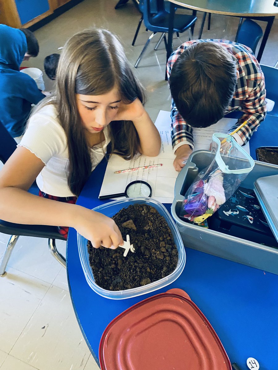 Ms. Kent tweet media