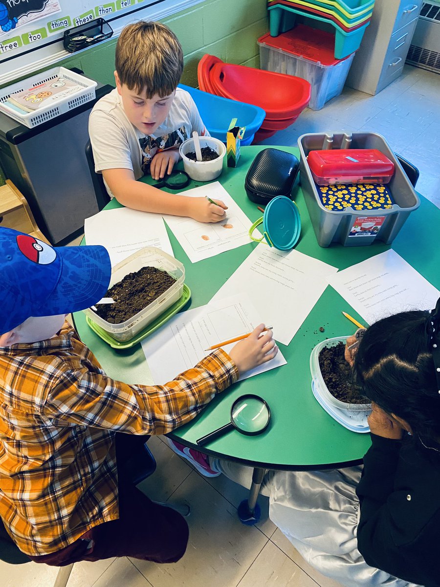 Ms. Kent tweet media