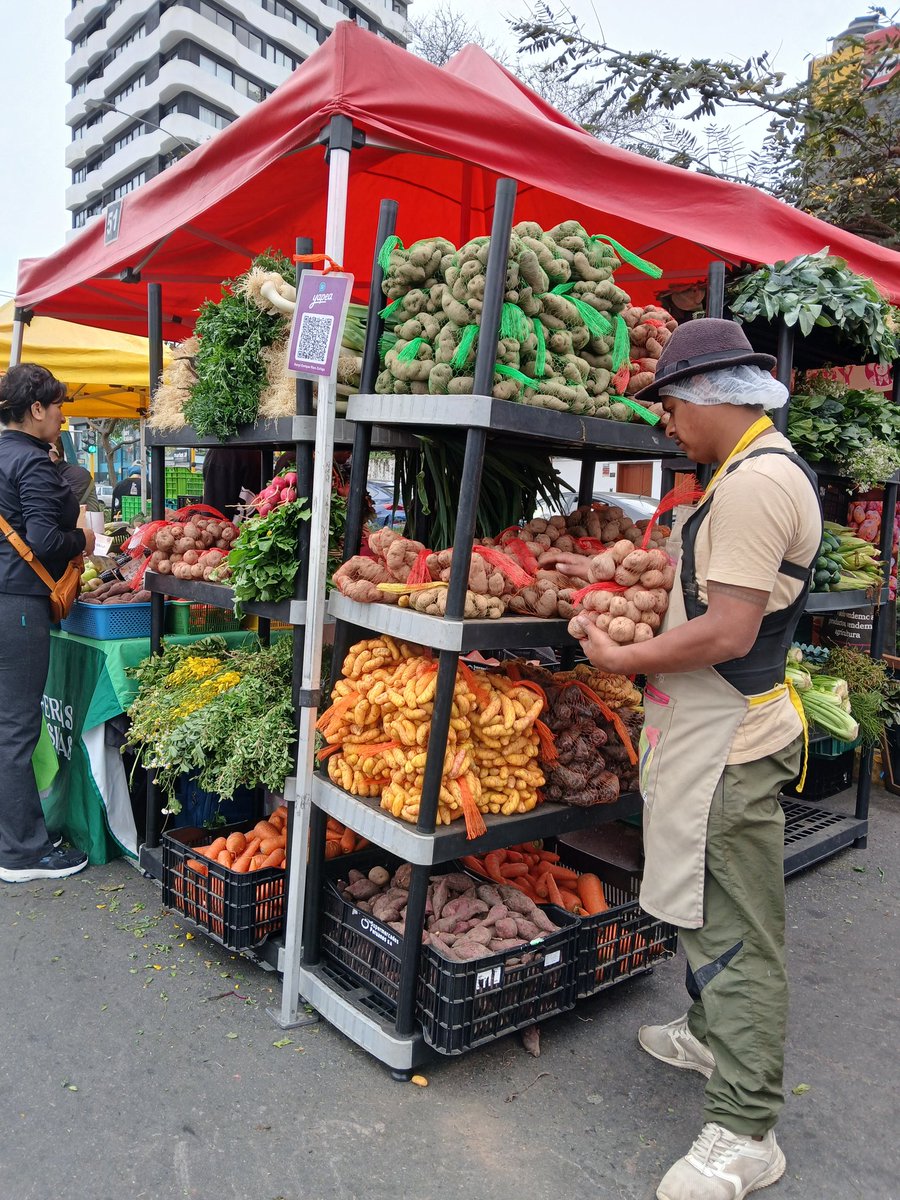 MarWismann's tweet photo. El día mundial de la #alimentación es un recordatorio de la necesidad de tomar medidas serias contra el #hambre y la #malnutrición y, de hacerlo de manera #sistémica. 
#WorldFoodDay 
@rikoltoLA 
@agroferias 
@ollascomunes_pe 
@JessicaHuaman_ https://t.co/XNoQjbz1eq
