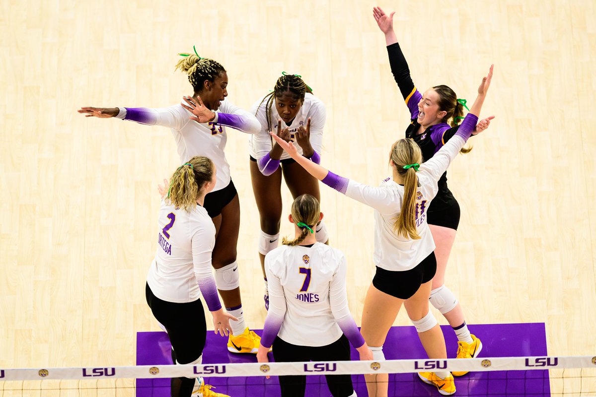 LSU Volleyball tweet media