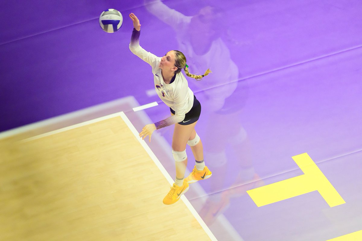 LSU Volleyball tweet media