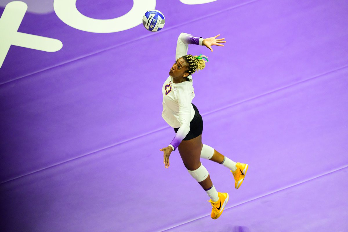 LSU Volleyball tweet media
