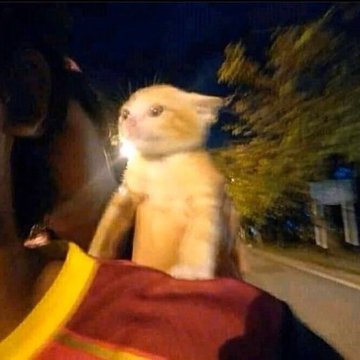 playing with video models https://t.co/sM8T35kssH