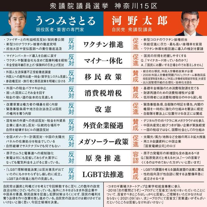 はっきり言うけど、この選挙は有権者の知能が問われている。