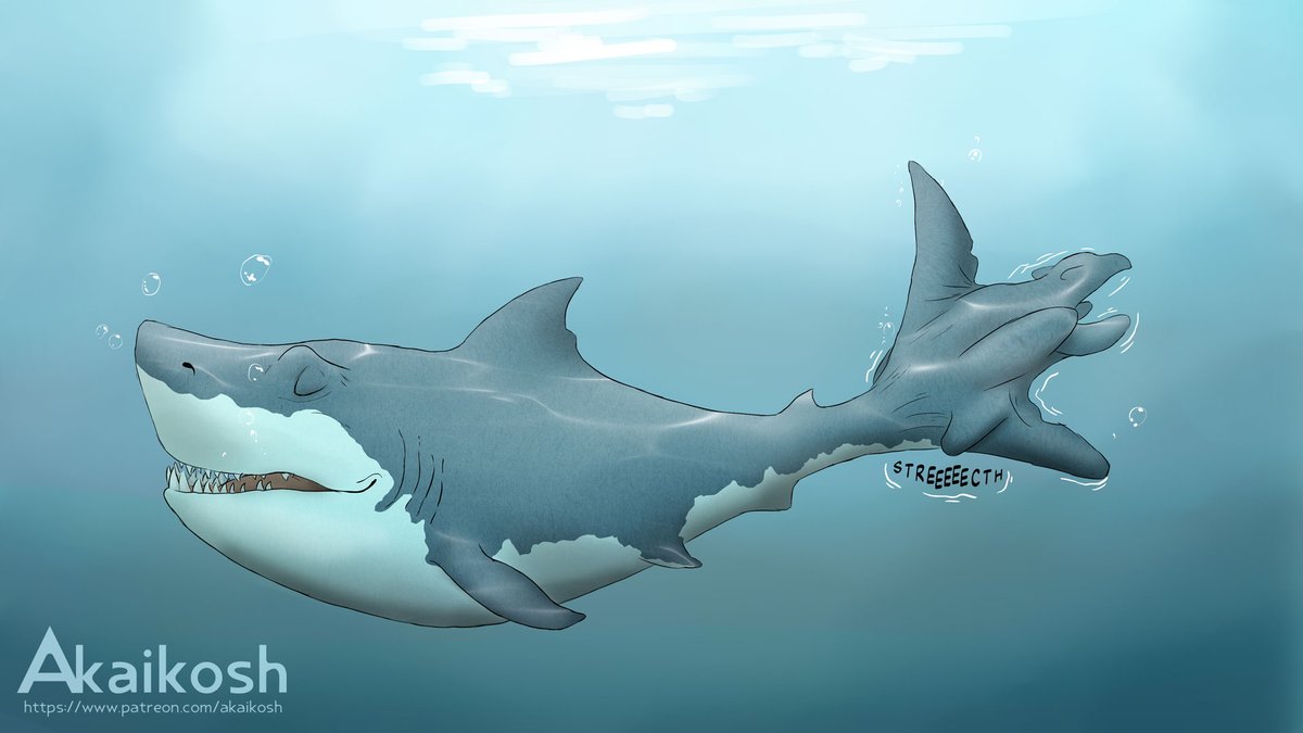 Overdue commission for  ArchTeryx

Fun with shark tails!