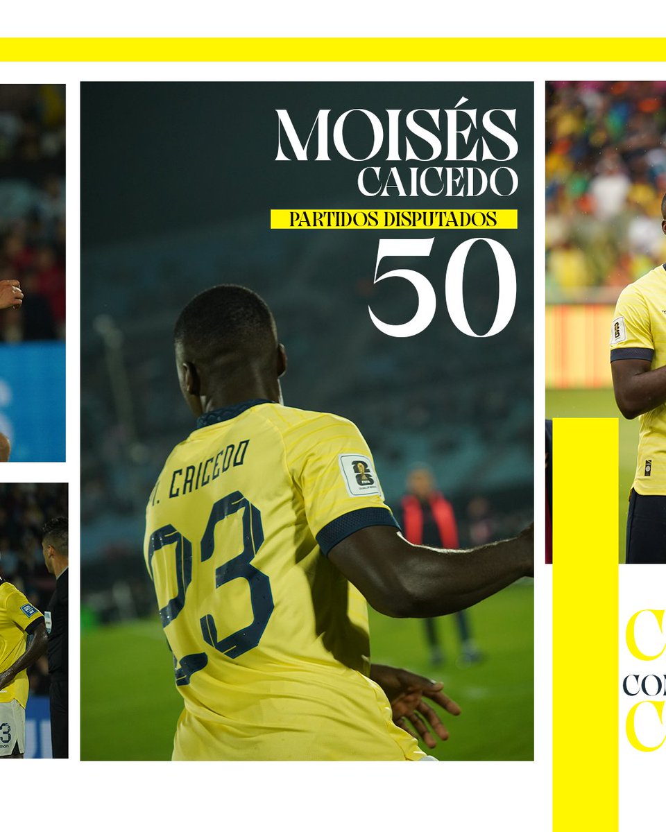 FootballDWorld's tweet photo. El resumen en fotos 📸 de la doble fecha de las eliminatorias sudamericanas en dónde una vez más nuestros deportistas fueron los protagonistas.

¡ A seguir así ! 🇪🇨💪🏻

#FootballDivisionWorlwide https://t.co/8faVU7Uco7