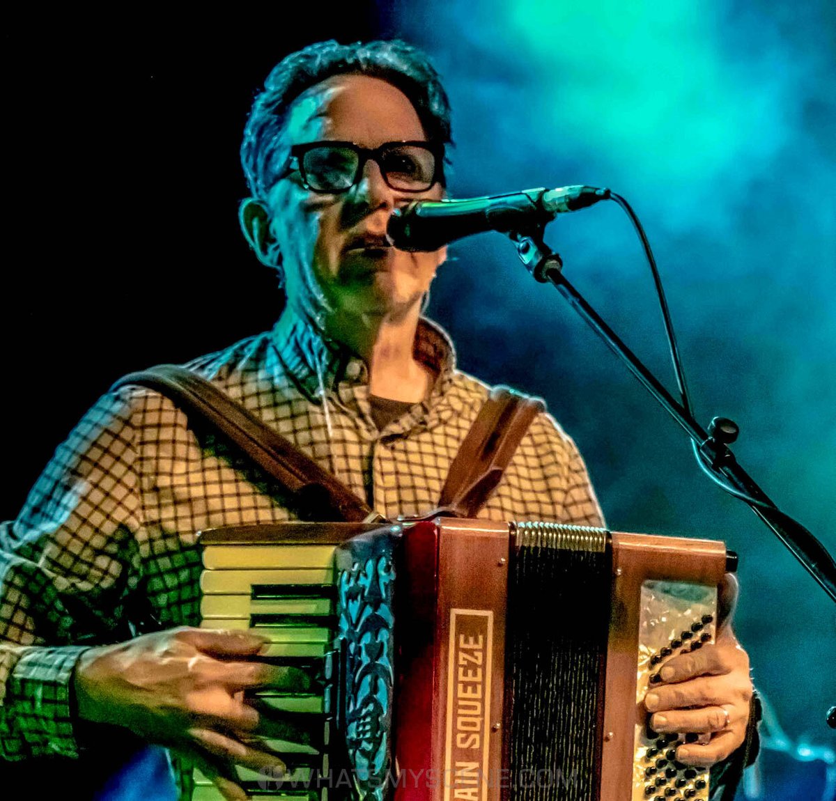 What's My Scene tweet media