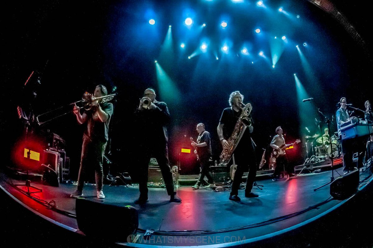 What's My Scene tweet media