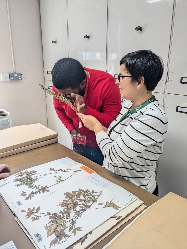 Rosemary Newton tweet media