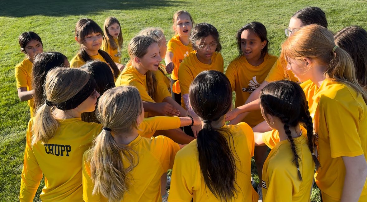 Horning Hawks CC and TF tweet media