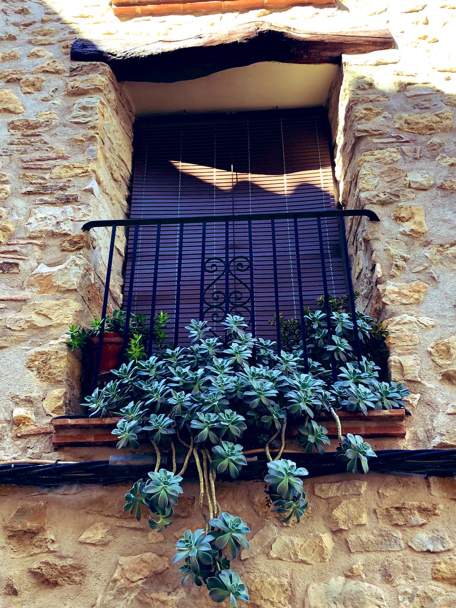 🌱GreenFingers tweet media
