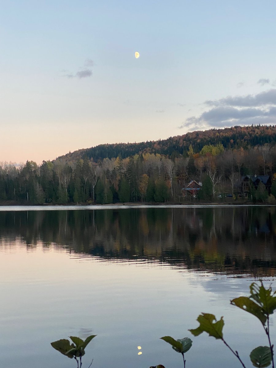 Had a great time giving a talk at the University of Sherbrooke after SfN in Chicago! 

It was a pleasure to visit Pierre-Michel Bernier's lab and discuss exciting projects on motor control and decision-making.

Bonus: Quebec is so beautiful &amp; colorful at this time of the year!