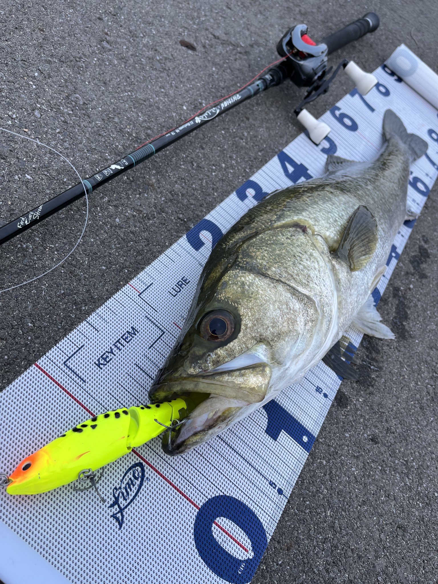 ブルージュ190F - Search / X