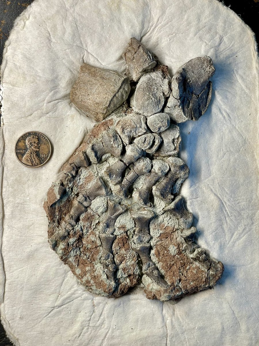 Matthew Aaron Brown tweet media