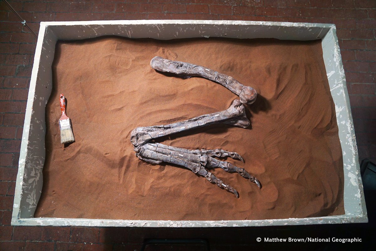 Matthew Aaron Brown tweet media