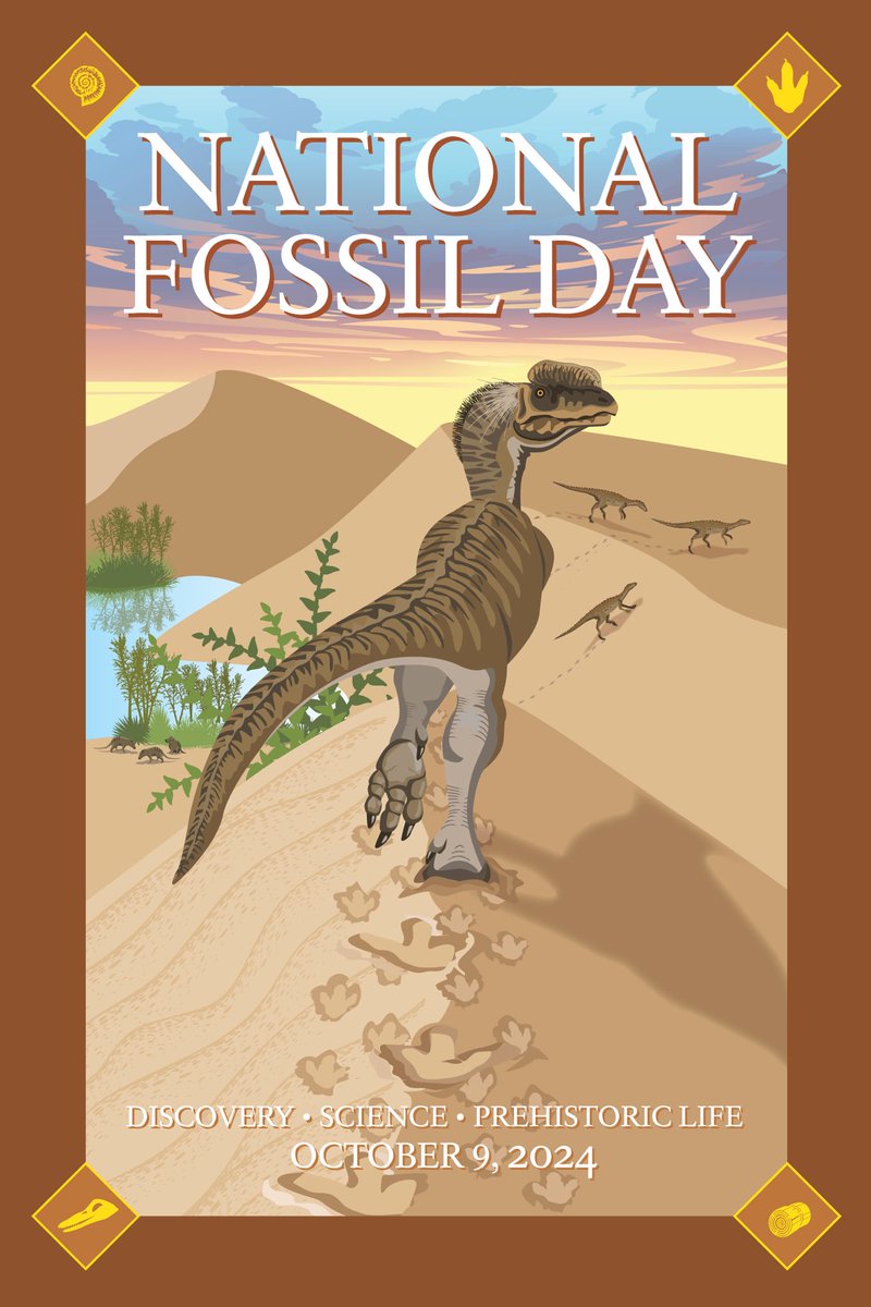 The 2024 #NationalFossilDay art features several Kayenta Formation animals and footprints, so here are the feet of trackmakers Dilophosaurus, Scutellosaurus, and Kayentatherium, all fossils from the Navajo Nation held in trust in the Texas collections.