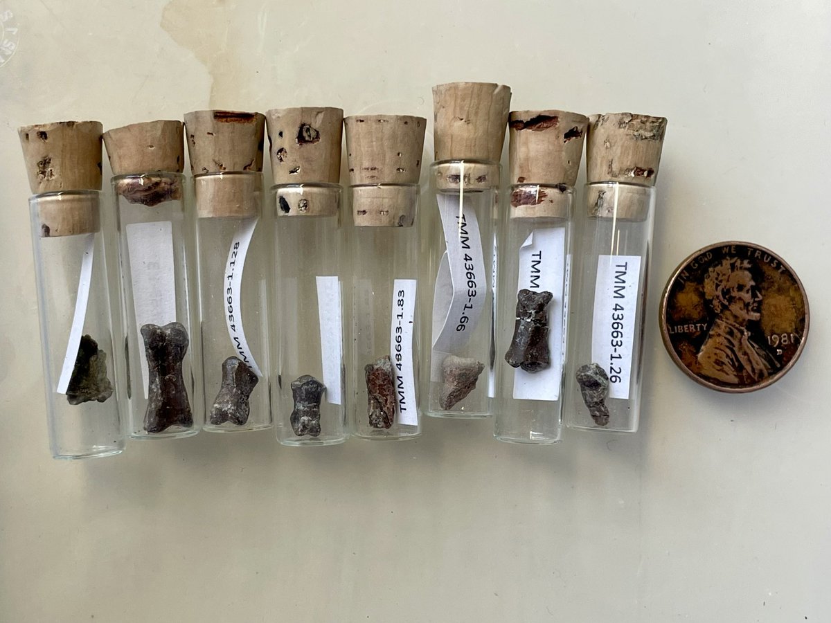 Matthew Aaron Brown tweet media