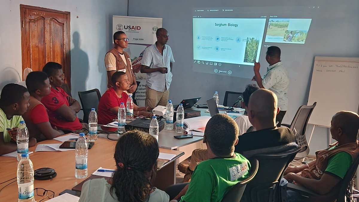 Global Collaboration on Sorghum and Millet🌾 tweet media