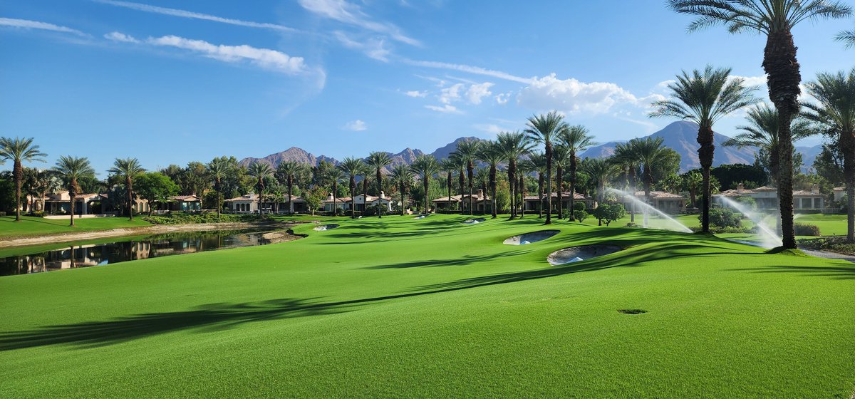 First photo was taken yesterday in the morning. Second photo this afternoon.  It's crazy how much things change during an overseed!