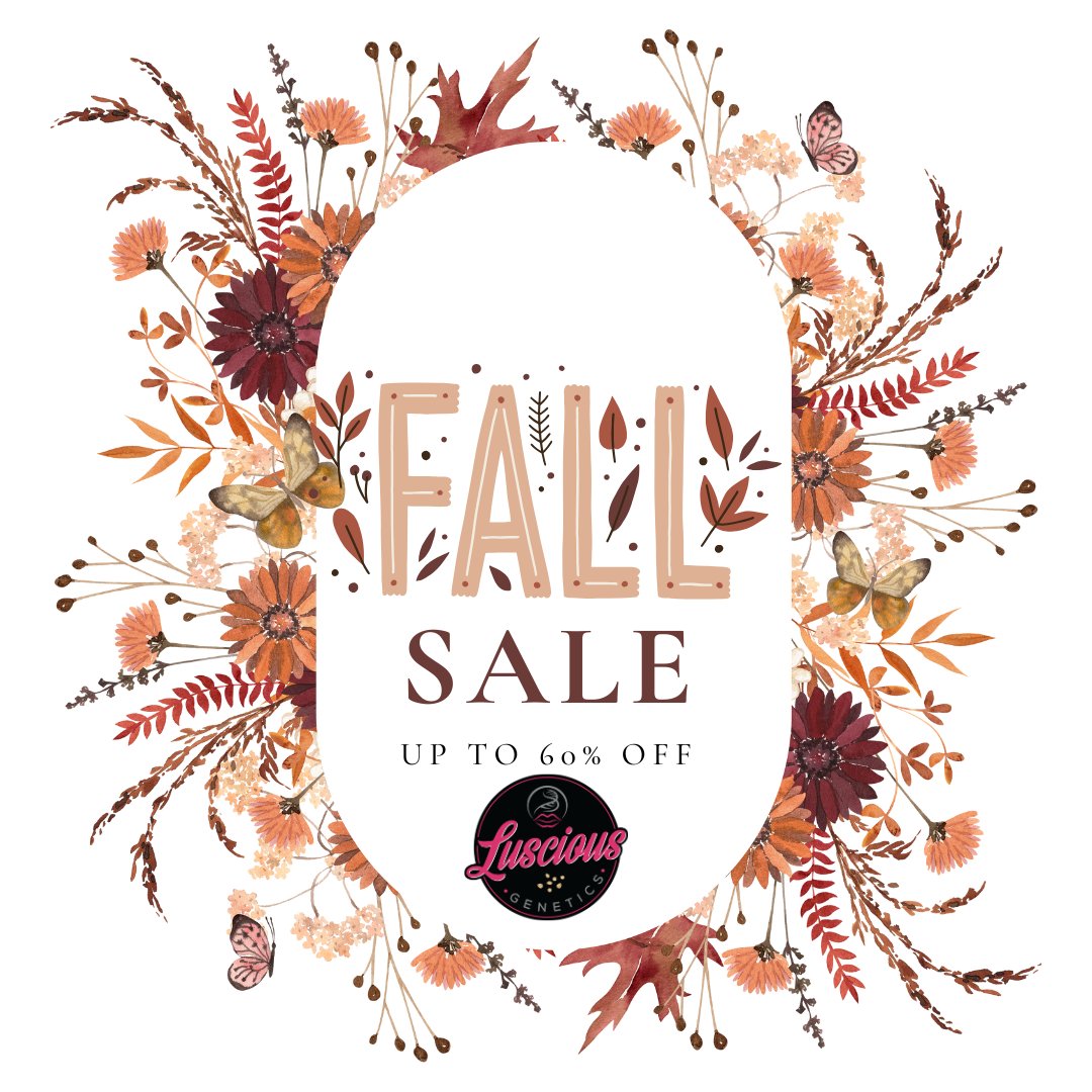 lusciousgenetic's tweet image. Need some beans? Tons of great deals on the site!
lusciousgenetics.com
#CannabisCommunity #CannaLand #freetheseeds #growyourown