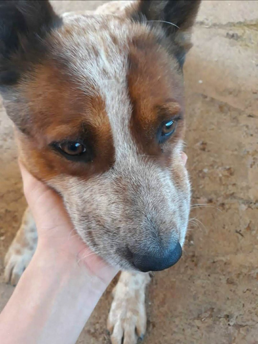 anitrok's tweet photo. vou sentir muito a sua falta 💔 https://t.co/pT5CMER8Fp