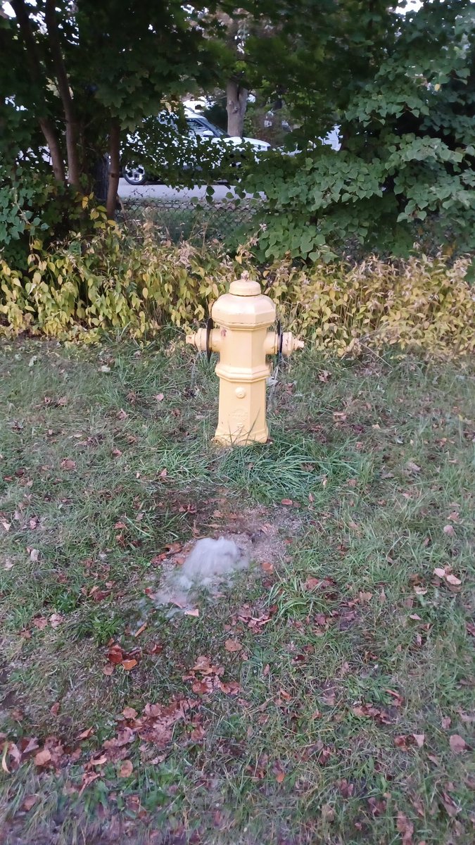 Hydrant running wild Kennedy rd and Marilyn ave SE corner <a href="/311Toronto/">311 Toronto</a>