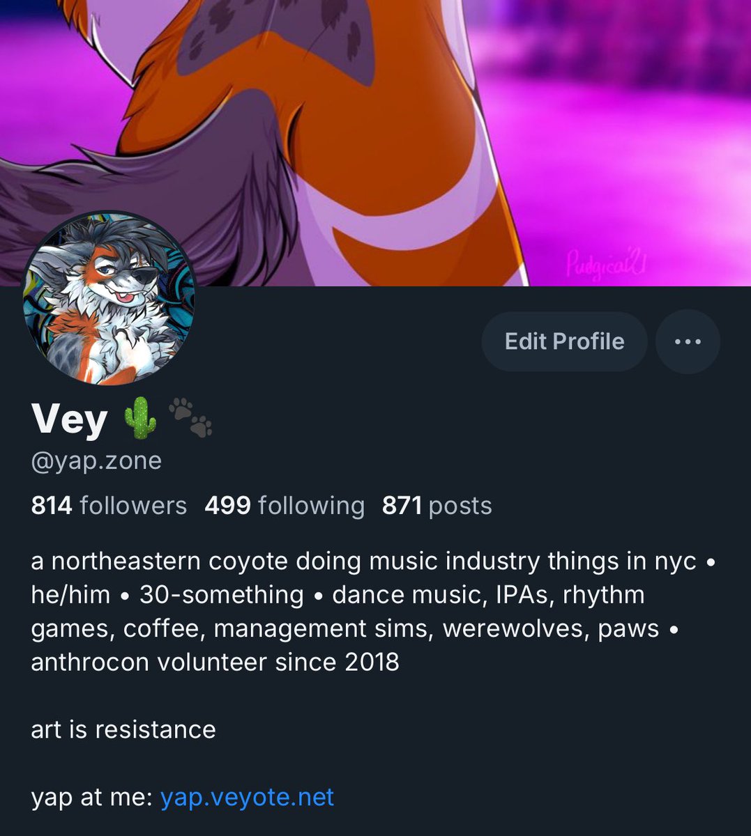 vey 🌵🐾 tweet media