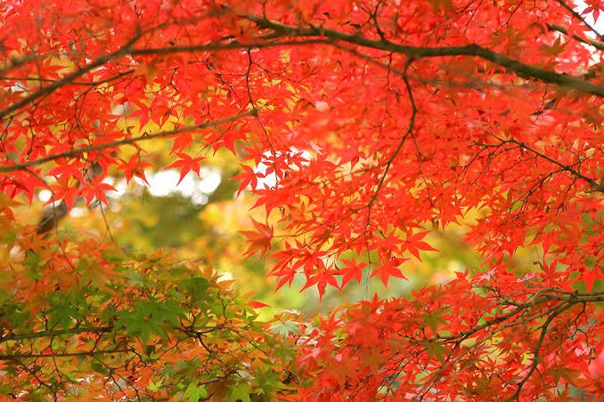 amathuurei's tweet photo. おはようございます☀本日も営業しております。この時期は、年末商品の溜め込みの時期でもあり、どこの冷蔵倉庫も満庫状態になってきております。入庫される際は必ず前もってご連絡頂ければと思います。貸し蔵　一部🈳　こちらからhttps://t.co/JG0ttVrP7t https://t.co/RPMG6ERh0d