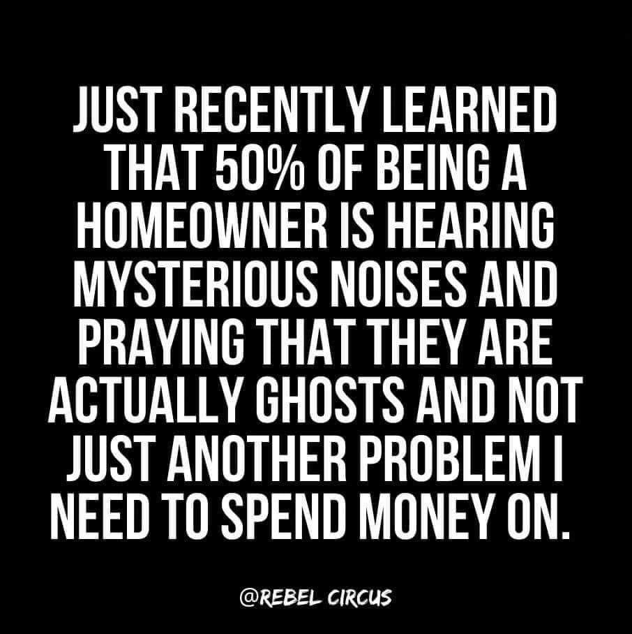 💯💯💯 <a href="/RebelCircus/">Rebel Circus</a>