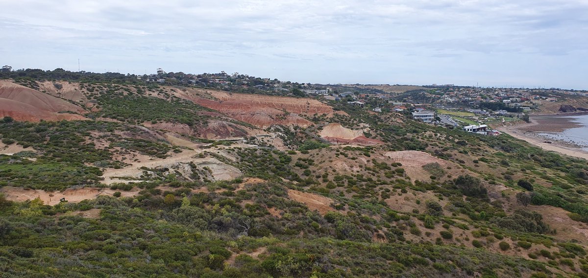 scimissionowen's tweet photo. Mid #IAGS2024 symposium field trip to Hallett Cove! stunning coastal landscape featuring everything from folded sediments to amphitheatres to glacial deposits and erratics, plus 🐬. thanks to Mario from Geol Survey SA and Jarred from @UniofAdelaide for leading the trip! https://t.co/3d1Oo6BM1k