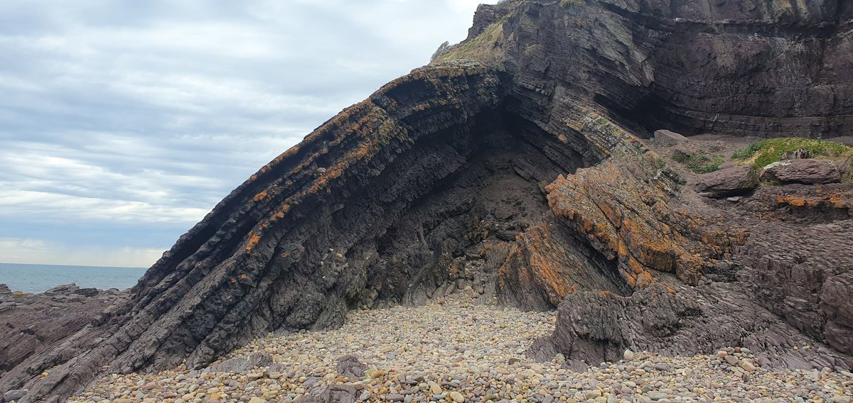 scimissionowen's tweet photo. Mid #IAGS2024 symposium field trip to Hallett Cove! stunning coastal landscape featuring everything from folded sediments to amphitheatres to glacial deposits and erratics, plus 🐬. thanks to Mario from Geol Survey SA and Jarred from @UniofAdelaide for leading the trip! https://t.co/3d1Oo6BM1k