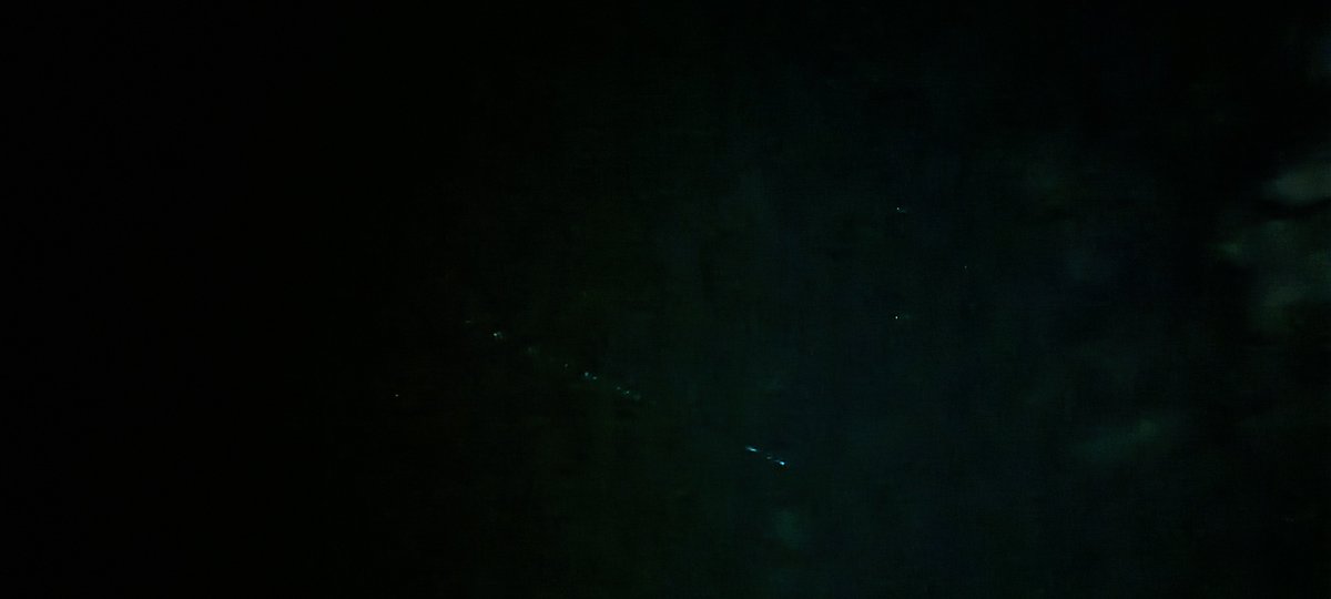 injeneer_ondra's tweet photo. That night again, a trail of starlinks
#statlink https://t.co/lBZEweCDox