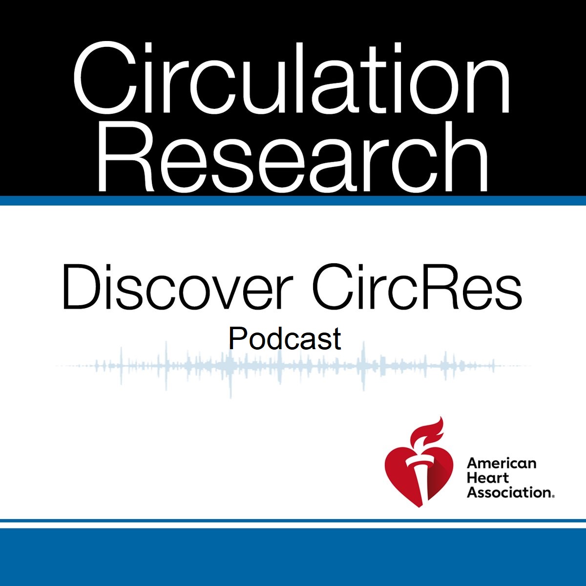 CircRes's tweet photo. 1/5 New @CircRes podcast #DiscoverCircRes https://t.co/snYlUdlSdF @StHilaireLab chats with Dr. Ken Walsh &amp; @polin76 about their study Experimental TET2 Clonal Hematopoiesis Predisposes to Renal Hypertension Through an Inflammasome-Mediated https://t.co/zvLZBzdIGh @MedicineUVA https://t.co/6YrgHz5AEH