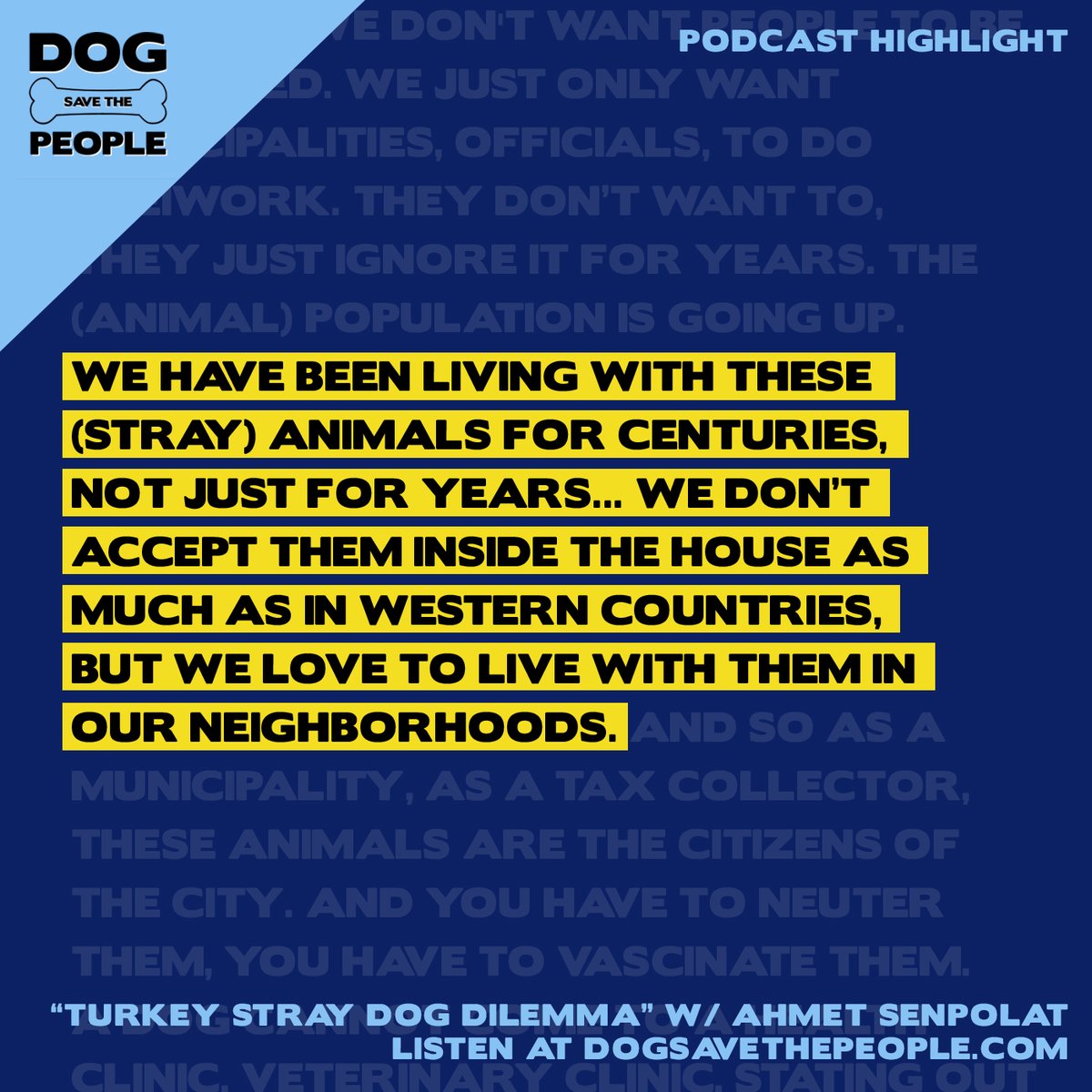 Dog Save The People Podcast tweet media