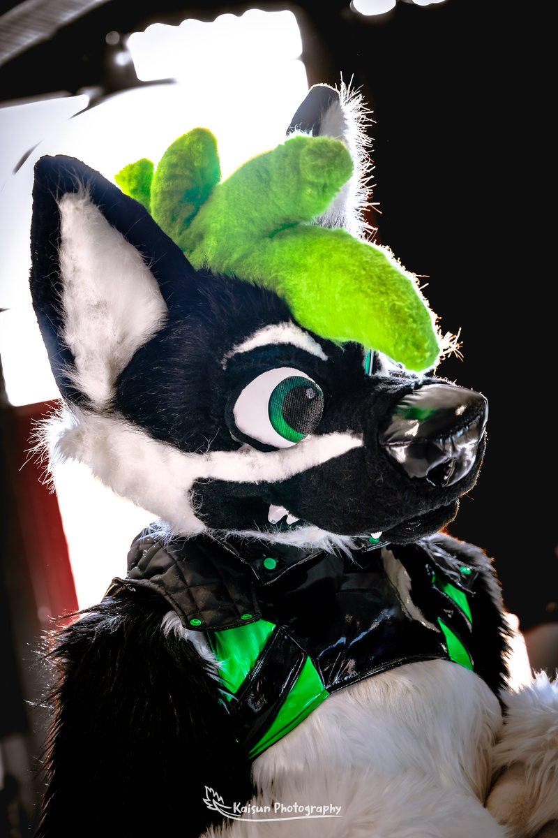 BrekWoof tweet picture