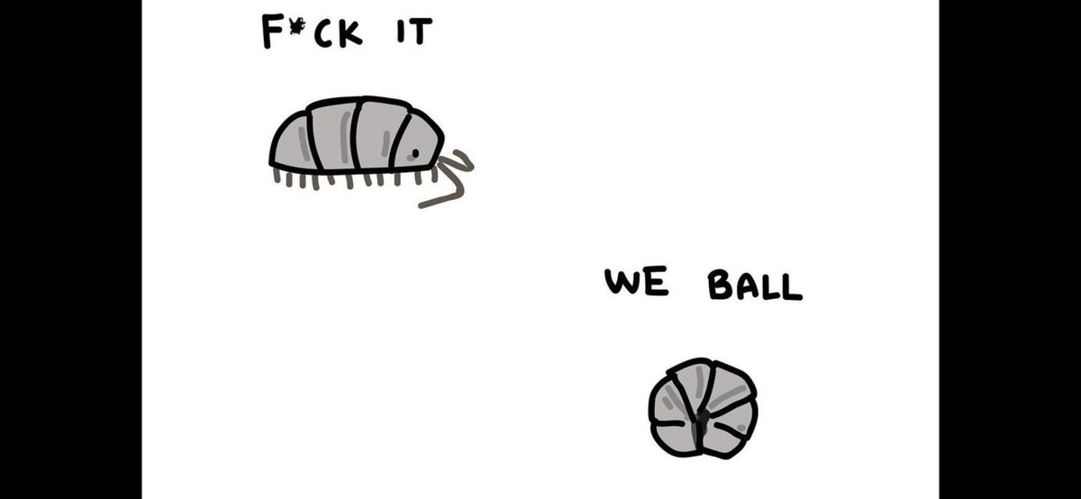 Michael Rausch tweet media