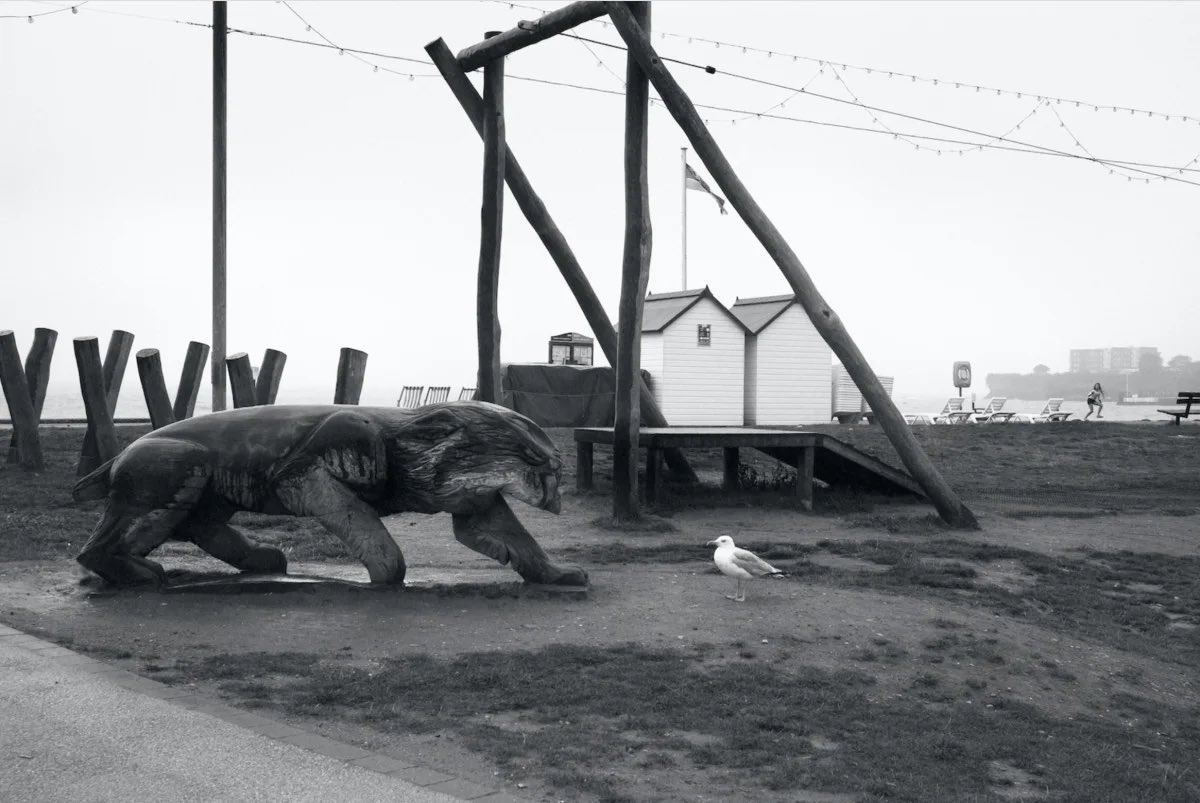 Bertrom's tweet photo. Roger Deakins.

“You look at photographs, and there’s a story within them. You can’t really do that in a movie because those frames keep moving. You can’t make the frames too complex, because you’re telling the story as a composite. It’s a different way of communicating.” https://t.co/oSFpbNT387