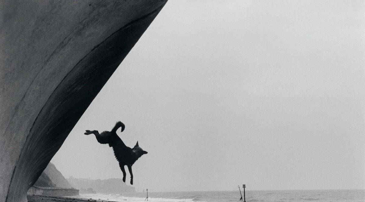 Bertrom's tweet photo. Roger Deakins.

“You look at photographs, and there’s a story within them. You can’t really do that in a movie because those frames keep moving. You can’t make the frames too complex, because you’re telling the story as a composite. It’s a different way of communicating.” https://t.co/oSFpbNT387