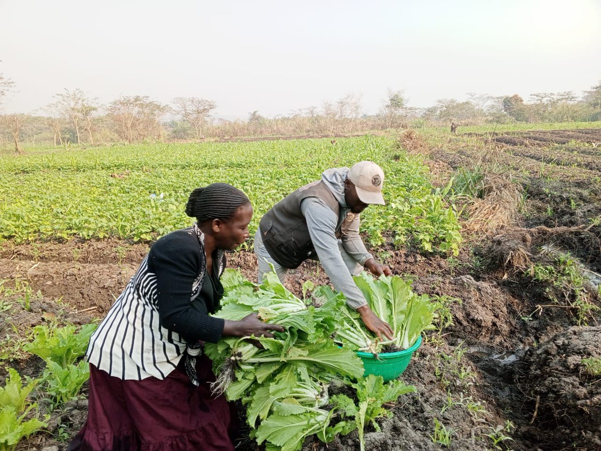 Upemba National Park tweet media
