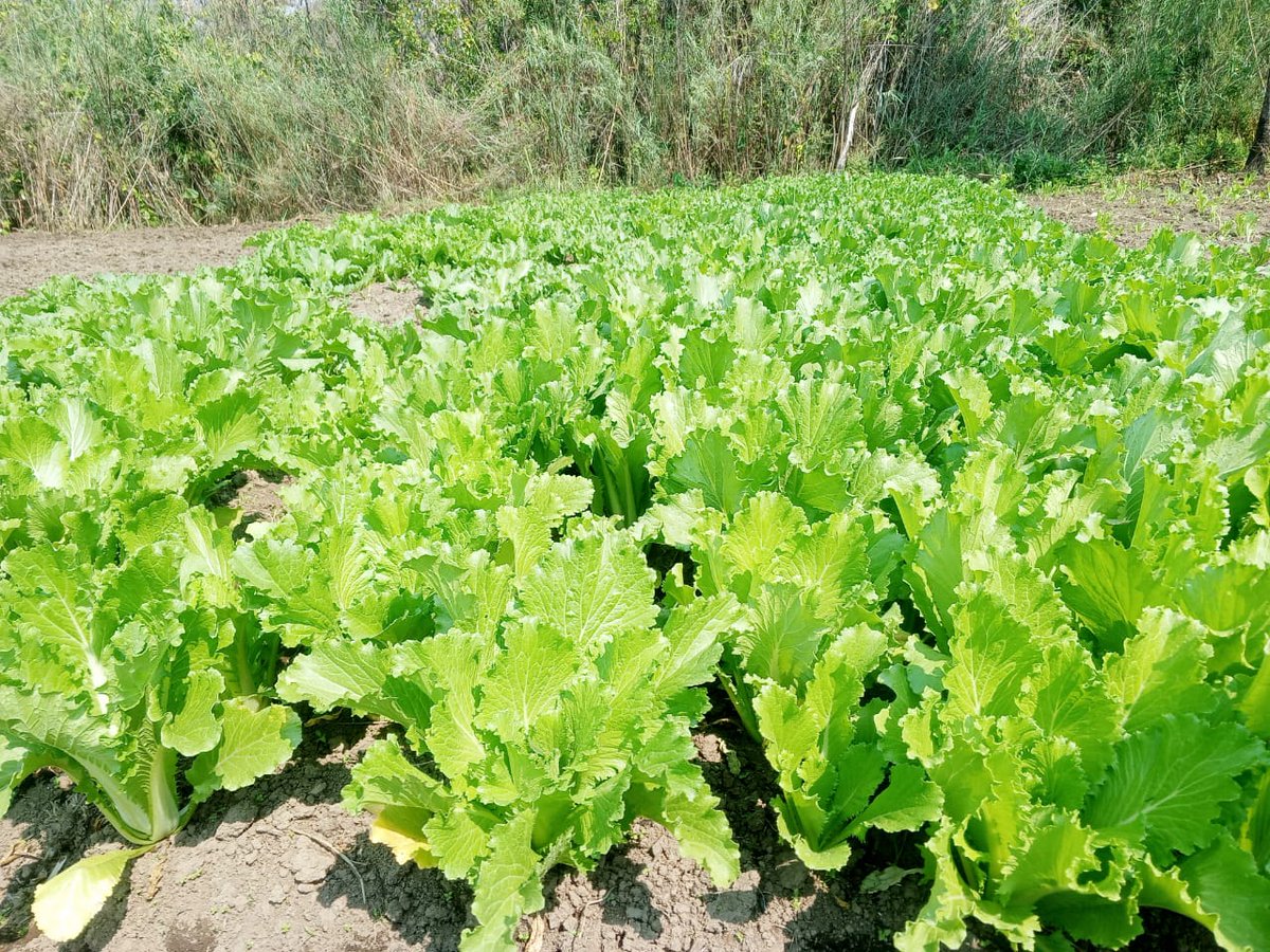 Upemba National Park tweet media