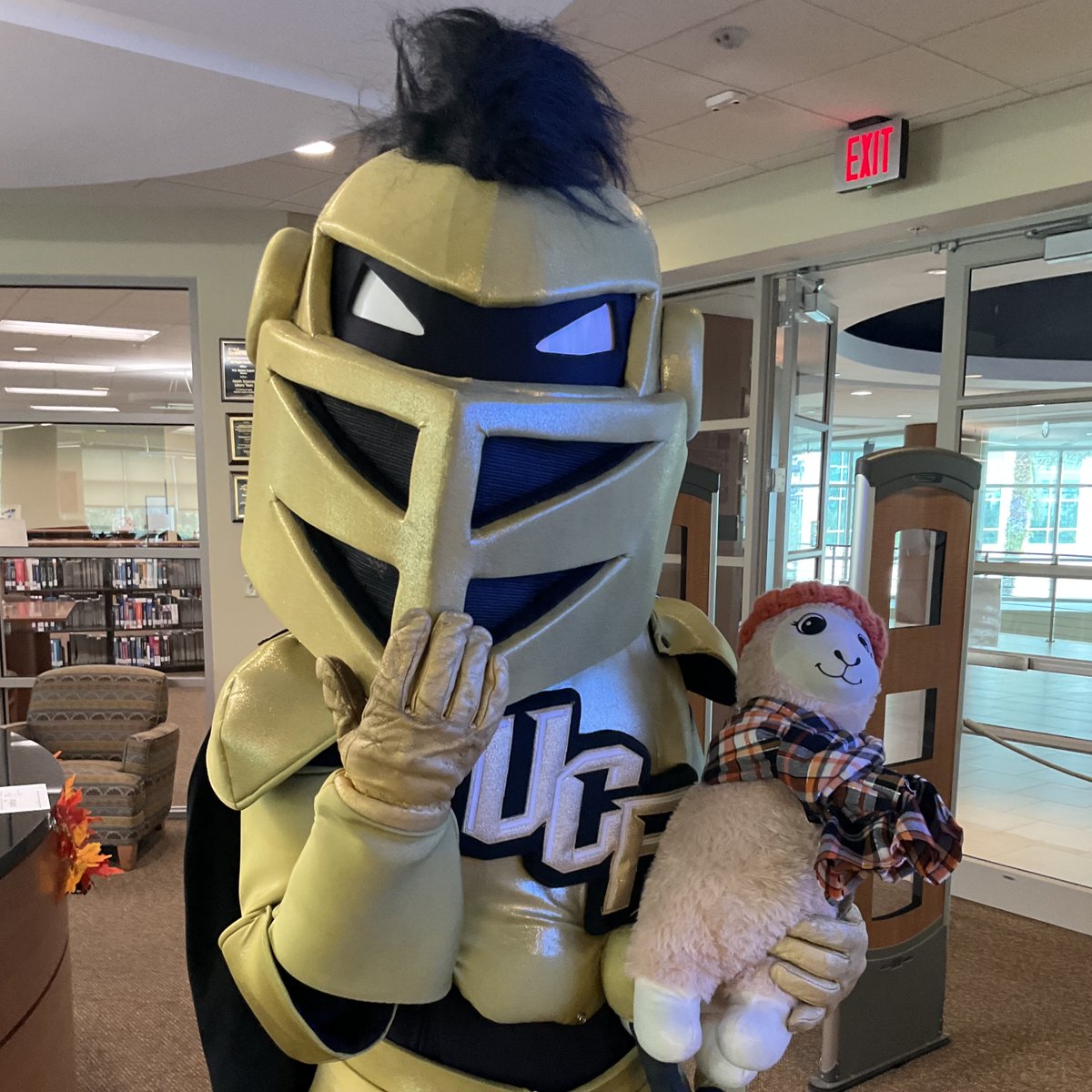 Reu-Knight-ed and it feels so good 🤩 Love it when these two get together - thanks for stopping by the library today and visiting with Llama, <a href="/UCF_Knightro/">Knightro</a>! 
#WhereIsLibraryLlamaWednesday #LibraryLlama