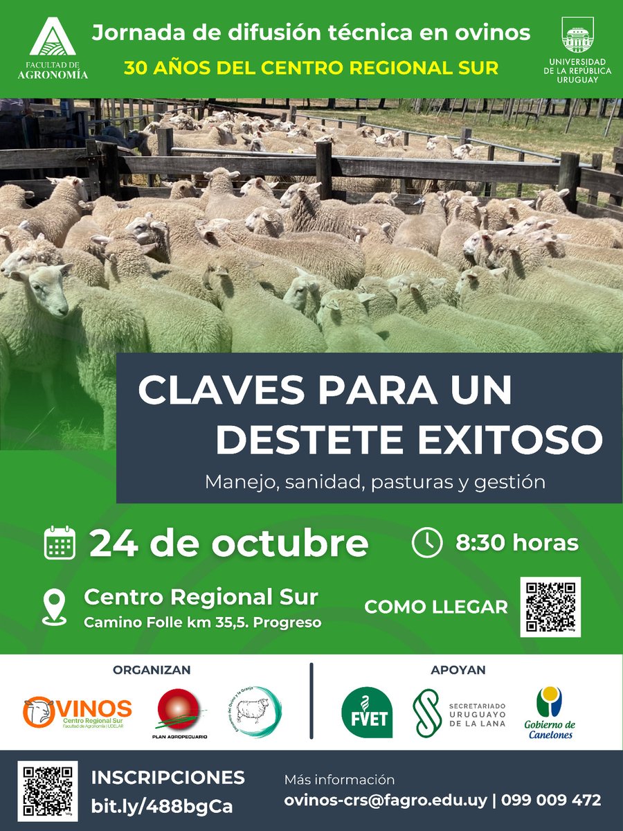FagroUdelar's tweet photo. 🐑Jornada de difusión técnica en ovinos "Claves para un destete exitoso: Manejo, sanidad, pasturas y gestión"
🗓️Jueves 24 octubre
⏰8:30
📍Centro Regional Sur, Facultad de Agronomía (Camino Folle, km 35,500; Progreso).
📲Inscripciones:  https://t.co/KFb9c9boub https://t.co/wuJyvvg0u9