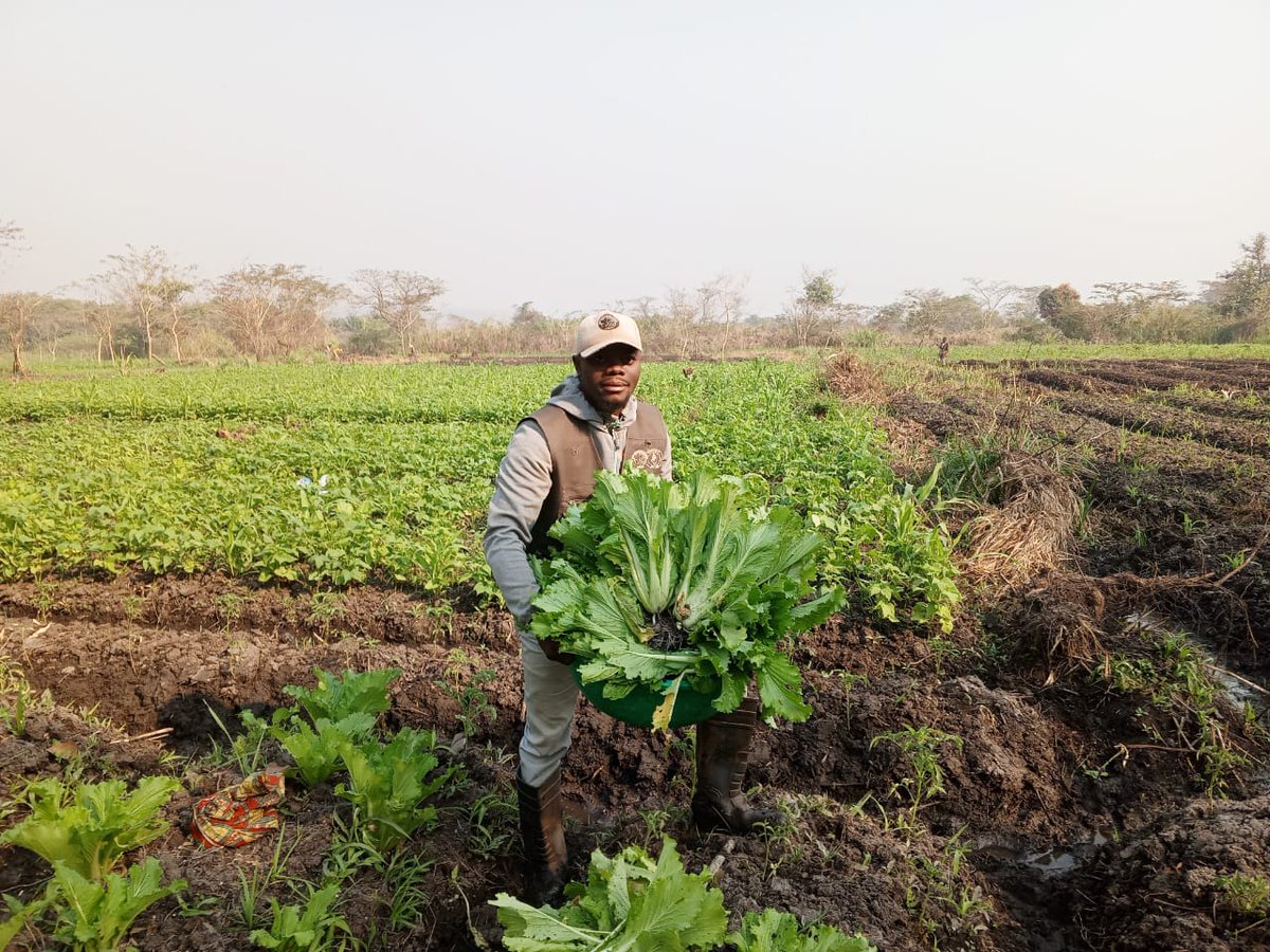 Upemba National Park tweet media