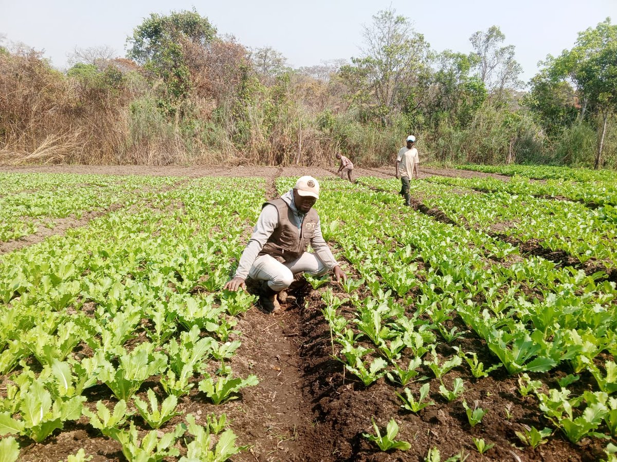 Upemba National Park tweet media